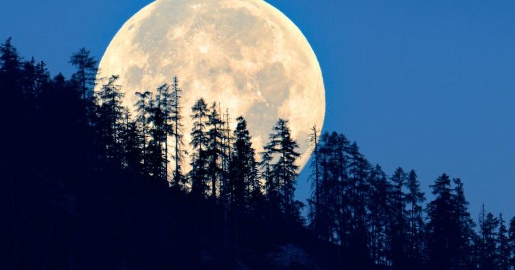 <p>Süper Ay, Ay'ın Dünya'ya normalden daha yakın olması nedeniyle<strong> gece gökyüzünde ekstra büyük ve parlak bir küre </strong>olarak görünmesi anlamına geliyor.</p>
