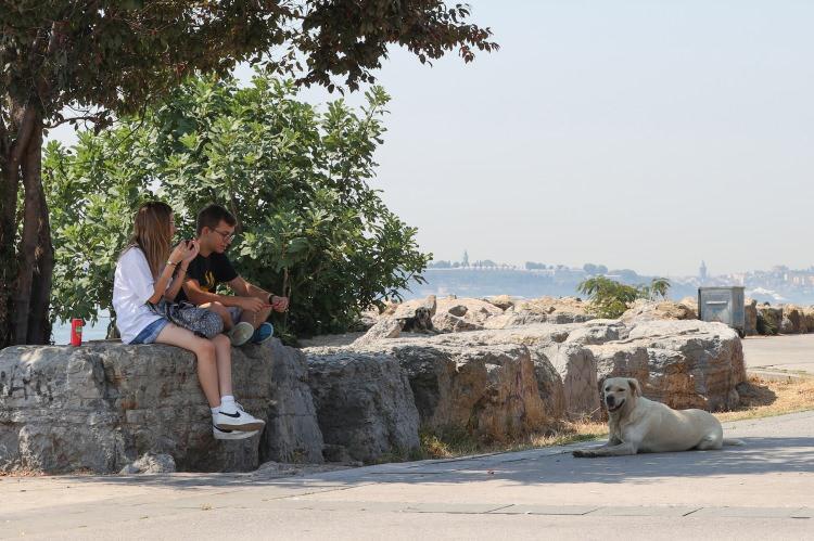 <p>İstanbul'da etkili olan "eyyam-ı bahur" sıcaklarından bunalanların bir kısmı denize girerken bazıları da parklardaki gölgelik alanlarda serinlemeye çalıştı.</p>

<p>Megakent, bu kez de Türkiye'nin güney ve batı bölgelerinde dün itibarıyla etkisini göstermeye başlayan yeni bir sıcak hava dalgasıyla kavruluyor.</p>

<p>"Çöl sıcakları", "cehennem sıcakları" ve "Afrika sıcakları" olarak da tanımlanan eyyam-ı bahur ile kentte gün içerisinde hava sıcaklığının pik noktaya ulaşması bekleniyor.</p>
