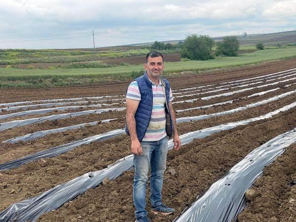 <p>Karpuz üreticilerinden Volkan Kurt, yaşanan kuraklık nedeniyle üretimde poşetleme sistemine geçip, 80 dönüme ekim yaptı. </p>
