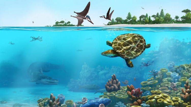 <p>Bugünün deniz kaplumbağası türlerinin tümü, okyanusun derinliklerinde yüzmelerine imkan sağlayacak  uzun, sert yüzgeçlere sahip.</p>
