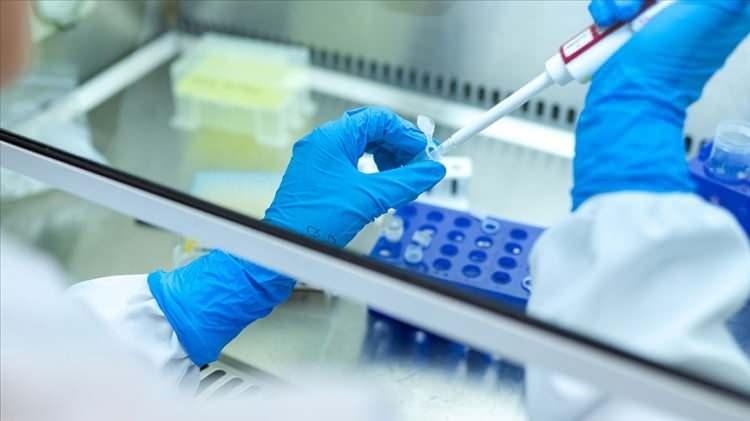 <p><strong>THC RİSKİ </strong></p>
<p>Yapılan son bilimsel çalışmalar da ise elektronik sigara sıvılarının içeriğinde uyuşturucu madde yapımında kullanılan THC (tetrahidrokannabinol) olabileceği belirtilirken, e-sigaraların ‘reaktif oksijen molekülleri’ açığa çıkarma riski olduğuna dikkat çekiliyor.</p>