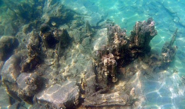 <p>Vangölü gel gitler yaşamış ama bakir ve temiz bir göl. Bulduğumuz alanlarda turizm noktasında farklı bir rota elde etmiş oluyoruz. </p>