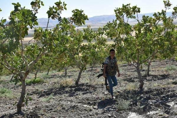 <p>"GÜNLÜK 1000 TL'YE BEKÇİ BULMAKTA ZORLANIYORUZ"<br />
Ziraat Mühendisleri Odası Gaziantep Şube Başkanı Abdulkadir Deniz, geçmişte fıstık bekçiliği diye bir mesleğin olmadığını söyledi. </p>