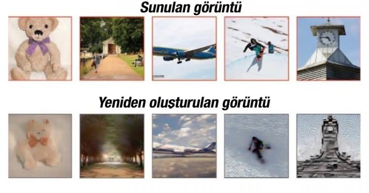 <p>Araştırmacı ekip, güçlü bir beyin okuma fonksiyonel manyetik rezonans görüntüleme (fMRI) tarayıcısı içinde iki gönüllüye yüz fotoğrafları gösterdi. Gönüllüler yüz resimlerine bakarken, fMRI beyinlerinin görmeden sorumlu bölgelerindeki nöronların aktivitesini taradı.</p>
