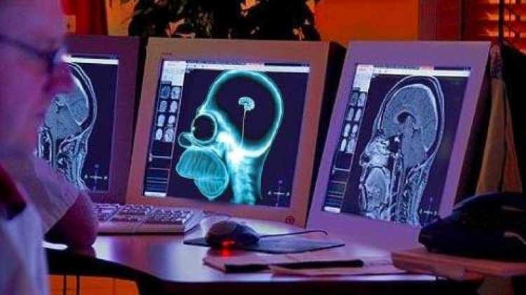 <p>Ekip, ortaya çıkan görüntüyü oluşturmak için fMRI görüntü çıktısı ve Semantik Kod Çözücünün bir kombinasyonunu kullandı. Bununla birlikte, sürece Kararlı Difüzyonun eklenmesinin, nihai olarak oluşturulan görüntülerin katılımcılara gösterilen orijinal görüntülere daha benzer görünmesini sağladığını buldular.</p>
