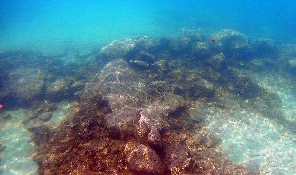 <p>Doğu Deniz Derneği Başkanı Cumali Birol, yaptıkları dalışla çözülmeyi bekleyen yeni gizemleri keşfettiklerini söyledi. </p>