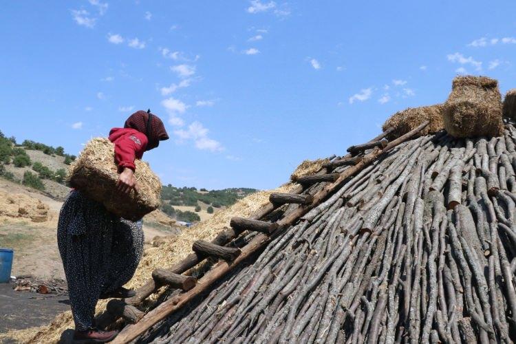 <p>Toplanması, traktöre yüklenmesi, getirilmesi gibi işlemlerle bir ağacın en az 10 defa ellerinden geçtiğini anlatan Esen, "Eşimizle, çocuklarımızla çalışıyoruz. Çok zor ama mecburen yapıyoruz. Deprem bizi çok etkiledi. Deprem bölgesine çok kömür satıyorduk. Bu yıl satamadık, o yüzden satışımız da fiyatlar da düştük." dedi.</p>
