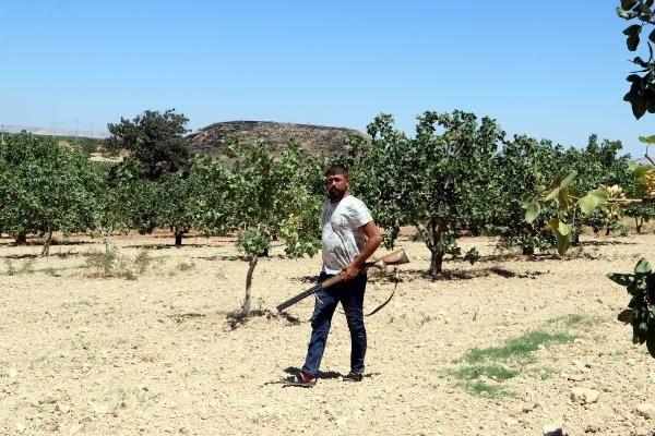 <p>Deniz, "Arazilerdeki bekçilerimiz gün boyu nöbet tutuyor. Fıstık bahçelerinde bekçilerimiz yaya veya motosikletleri ile sürekli dolaşarak, hırsızlık olaylarının olmasını engelliyor. Bekçilere günlük 1.000 TL yevmiye veriyor ve tüm ihtiyaçlarını karşılıyoruz. Buna rağmen bekçi bulmakta zorlanıyoruz" dedi.</p>
<p> </p>