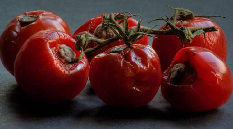 <p>Sabah kahvaltılarının vazgeçilme sebzelerinden biri olan domates sıcak havalarda çok çabuk çürüyor. Doğru saklanmadığı takdirde de çok hızla çürüyen domatesleri değerlendirebileceğiniz bazı alanlar bulunuyor. Yemeklerde de kullanılan domates çürüdüğü takdirde çöpe atmak yerine değerlendirebileceğiniz anları sizler için değerlendirdik. işte o detaylar...</p>
