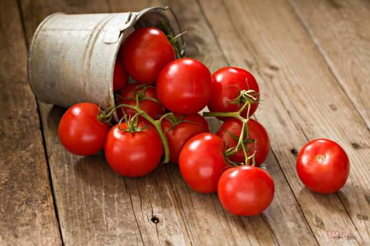 <p><span style=color:#B22222><strong>ÇİÇEK GÜBRESİ</strong></span></p><p>Son olarak çürüyen domatesi çiçek gübresi olarak değerlendirmeniz mümkün. Bunun için çürük domatesleri küçük küçük doğrayıp bir kabın içine koyun.</p><p> </p>
