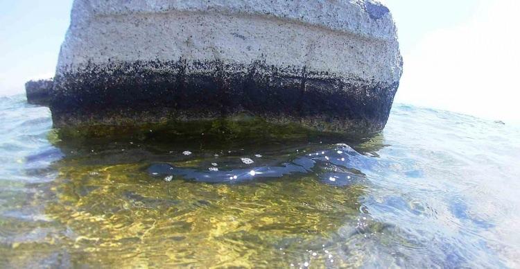 <p>Dalışseverleri Adilcevaz’a Van Gölü Havzası'na bekliyoruz" diye konuştu.</p>