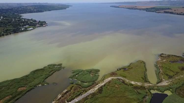 <p>Proje kapsamında lagünün mikrobiyal komite çeşitliliğini araştıran ve analiz eden Albay, Küçükçekmece Lagünü'nün acilen restore edilmesi gerektiğini açıkladı.</p>