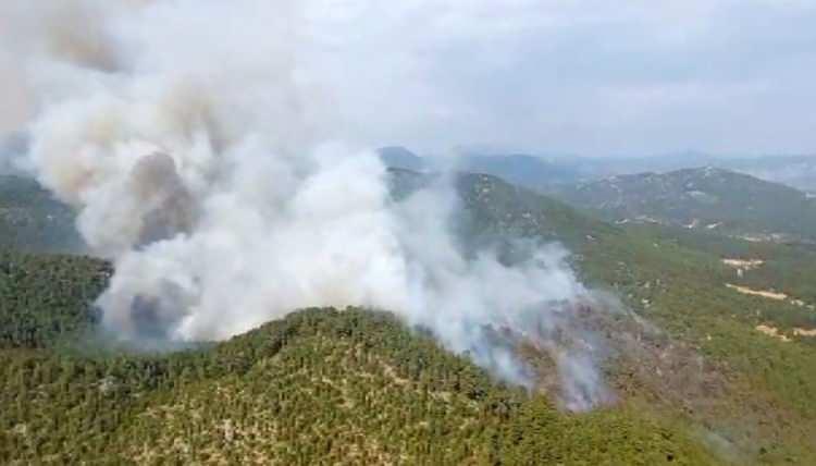 <p><strong>ESKİŞEHİR</strong></p>
<p>Eskişehir’in Alpu ilçesinde, bugün öğle saatlerinde orman yangını çıktı.</p>
<p>Hızla büyüyen yangını söndürmek için havadan ve karadan çalışma başlatıldı.</p>
<p> </p>
<p> </p>