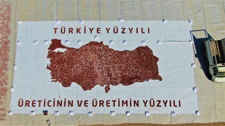 <p>Hasadına başlanan domates üretimi hakkında bilgi veren Ali Kılıç, “Domates hasadını gerçekleştiriyoruz ve artık ilimizde Alatarla köyü domates üretiminde bir marka haline dönüşecektir. Geçen yıl da hasadı burada gerçekleştirmiştik ve yaklaşık 2 bin dekarlık bir tarım arazisinde 20 bin tonluk üretim bir üretim gerçekleşmişti. Bu yıl bulunmuş olduğumuz köyde yaklaşık 5 bin dekarlık bir tarım arazisinde domates ekimi yapıldı. Sezon sonunda ise hasadına başladığımız bu tarihte ve sonrasında bu köyde 50 bin ton üretim görmeyi ön görüyoruz.” dedi.</p>