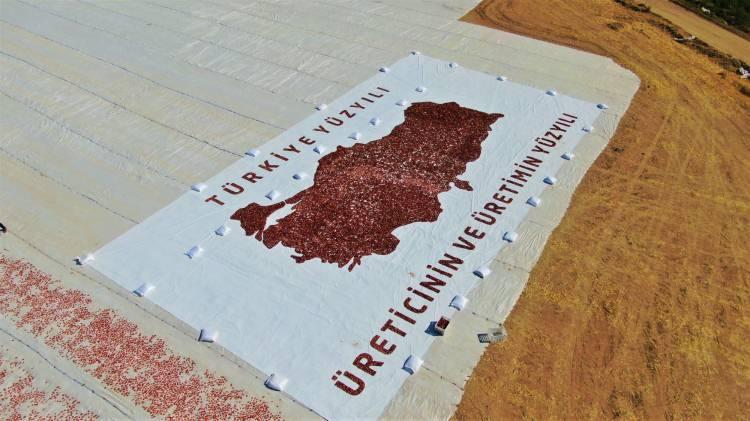 <p>Kurutmalık domateslerle Türkiye haritası oluşturduklarını dile getiren Kılıç, “İlimizde yaklaşık 20 bin dekarlık tarım arazisinde yıla göre değişmekle birlikte 80 ile 100 bin ton arasında değişen bir üretimimiz var. </p>