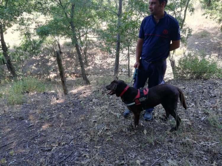 <p>Bu zamana kadar 240 kilometrekare alan havadan ve karadan tarandı; kırsalda ve Gönen ilçe merkezindeki 30 mahallede arama yapıldı. Armutlu Mahallesi ve çevresindeki tüm metruk evler de savcılık izniyle arandı.</p>