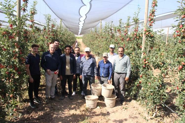 <div>Bayram, 15 milyona yakın ağaç sayısı ile Karaman’ın bugün Türkiye birincisi olduğunu ifade ederek,<strong> “Elma hasadı yazlık Gala çeşidiyle başlamış durumdadır. Hasadımız Kasım ayına kadar devam edecek. Türkiye’de Karaman, elma üretiminde liderlik konusunda çeşitli çalışmalar yapmaktadır. Bu yıl elmada yaklaşık 700 bin ton rekolte bekliyoruz"</strong> dedi.</div>

<div> </div>
