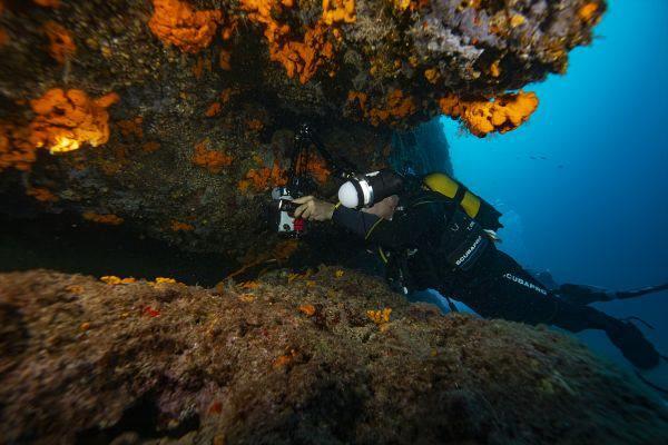 <p><strong>Karaburun ayrıca su altındaki yer şekilleri dolayısıyla Türkiye'de en fazla müren balığının görüldüğü bölgelerden biri. Zaten bu canlılık su altı fotoğrafçılarını bu bölgeye çekiyor."</strong></p>