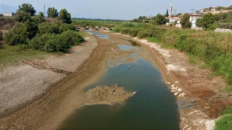 <p><strong>Küresel iklim değişikliğinin etkisiyle birlikte susuzluğu kuraklığı her yıl daha fazla çekmeye başladık.</strong></p>
