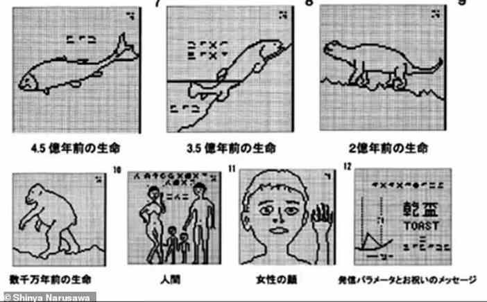 <p>Japon The Asahi Shimbun gazetesine göre, orijinal radyo sinyali 15 Ağustos 1983'te Stanford'dan Morimoto ve Hirabayashi tarafından iletildi ve 13 çizimi temsil ediyordu.</p>
