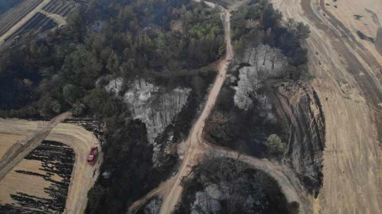 <p>Çanakkale'de orman yangınında hasarın boyutu gün ağarınca ortaya çıktı. Yanan alanlar havadan görüntülendi.</p>
