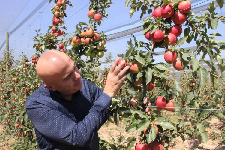 <p>Karaman’a çevre illerden elma toplamaya gelen yüzlerce işçi bulunuyor. Bu durum ise hem üreticiye kazandırıyor, hem de istihdam olarak Karaman ekonomisine ciddi bir katkı sağlamış oluyor. Bu yıl ise 500 milyon liraya yakın istihdama katkıda bulunmasını bekliyoruz" dedi.</p>

