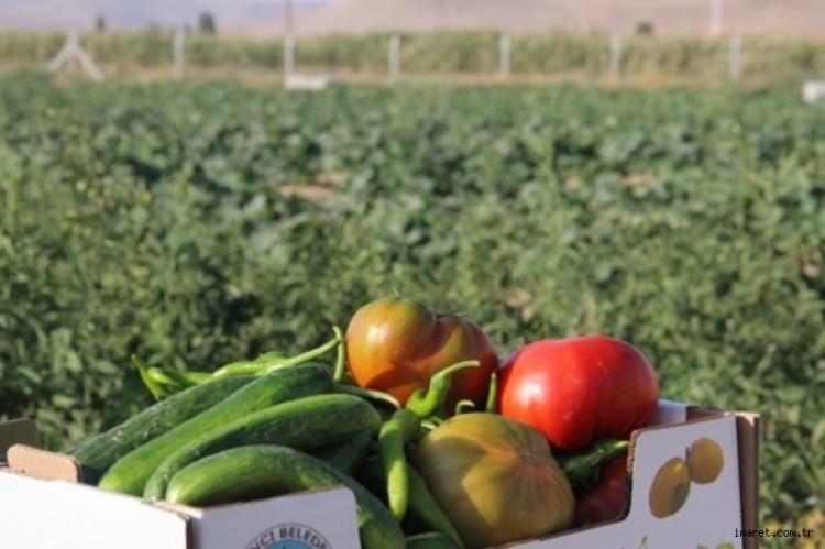 <p>Bugüne kadar vatandaşlarımıza her gün akşam paketleme yaparak 2'şer kilo ürünü evlerine bırakıyorduk. Bugün itibariyle ürettiğimiz ürünlerin tamamının kilosu 1 lira olarak belirledik. </p>
