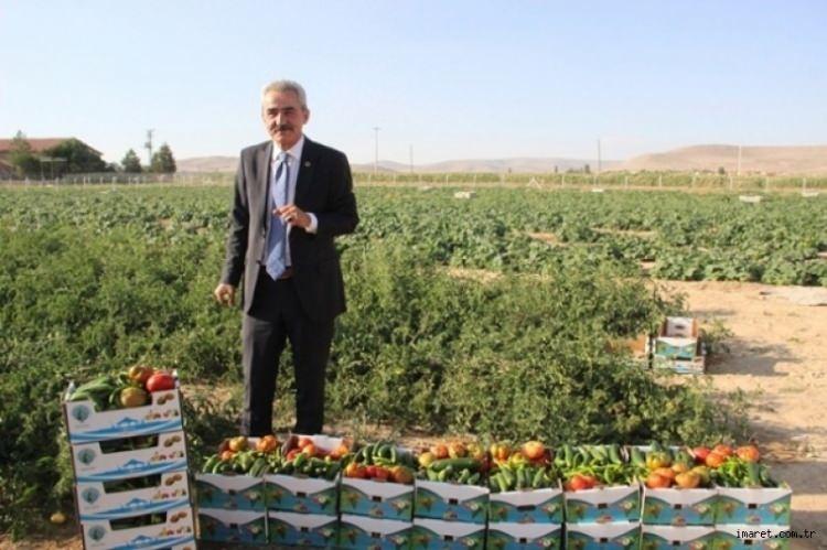 <p> Biz burada ürün satışımızı sadece ilçe halkı ile sınırladık ve insanlar buradan kilosu 1 lira olunca kasa kasa görütmek istiyor.</p>