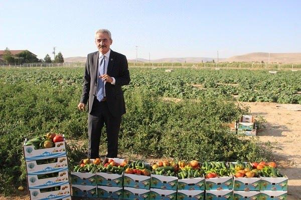<p> Karaman'ın Ayrancı ilçesinde MHP'li Belediye Başkanı Yüksel Büyükkarcı, belediyeye ait 15 bin metrekarelik tarlaya domates, biber, salatalık, kavun ve karpuz ektirdi. Büyükkarcı, hasat edilen tüm ürünleri ilçe halkına kilosu 1 liradan satışa sundu.​</p>

<p> </p>
