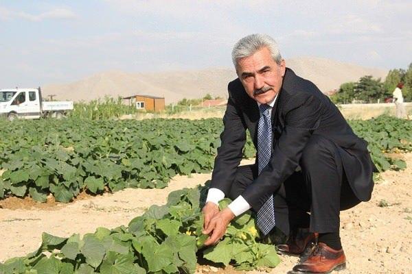 <p>Ayrancı ilçesinde MHP'li Belediye Başkanı Yüksel Büyükkarcı, belediyenin 15 bin metrekarelik arazisine ektirdiği domates, biber, salatalık, kavun ve karpuzu hasattan sonra ilçe halkına kilosu 1 liradan satışa çıkardı. </p>
