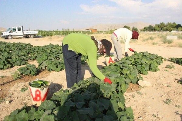 <p>"Sayın Genel Başkanımız Dr. Devlet Bahçeli beyin bize talimatları doğrultusunda üretken belediyecilik, bütüncül yaklaşımın iyi bir örneğini vermiş oluyoruz. </p>

