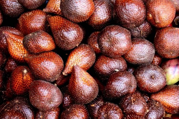 <p>Araştırmalar, salak pondoh meyvesinin vücuttaki serbest radikallerle mücadele ettiğini ortaya koydu. Ayrıca yüksek C vitamini içeriğiyle de dikkat çekiyor.</p>
<p> </p>