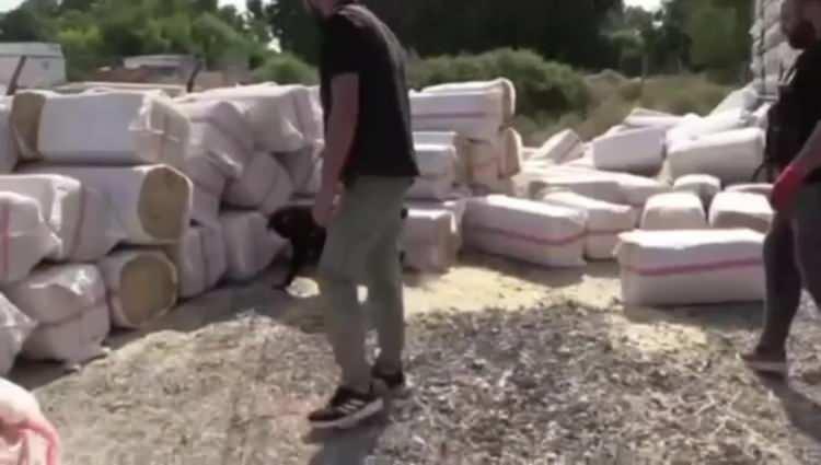 <p>1 zehir taciri daha yakalandı. Operasyonları düzenleyen polislerimizi tebrik ediyorum. Zehir tacirlerine göz açtırmayacağız. Bu tacirlerin başta gençlerimiz olmak üzere toplumumuzu zehirlemelerine izin vermeyeceğiz. </p>
