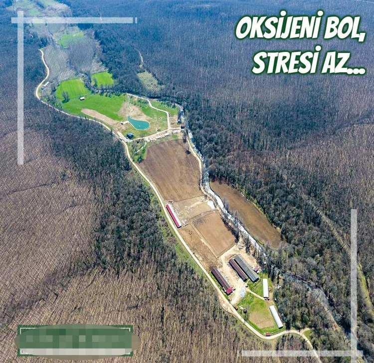 <p><strong>'DOĞADA UYANMAK, DOĞAYA UYANMAK' ADI ALTINDA TANITIM YAPMIŞLAR</strong><br />
<br />
<br />
Yaşanan selde 5 kişinin yaşamını yitirdiği bungalov evlerin tanıtımını şirket, '<strong>Doğada uyanmak, doğaya uyanmak</strong>', 'Oksijeni bol, stresi az' adı altında sosyal medya hesapları üzerinden yaptığı görüldü.</p>