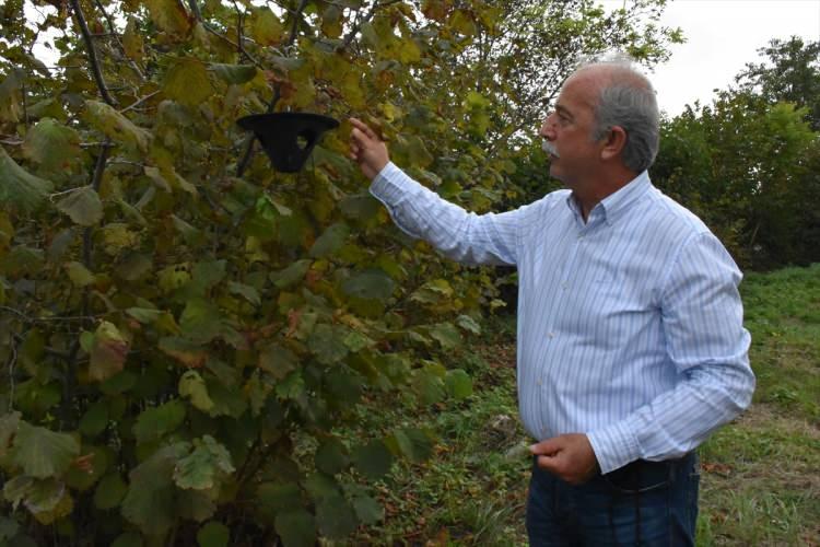 <p>Gürsu, kahverengi kokarcanın 365 günlük ömrü olduğunu, bir yıl içerisinde yüzde 80'inin öldüğünü ifade ederek, "Geriye kalan yüzde 20'lik kısmının önümüzdeki yıl zararları olacaktır. Bu zararları bertaraf edebilmek için topyekun bir savaş vermemiz lazım." dedi.</p>
