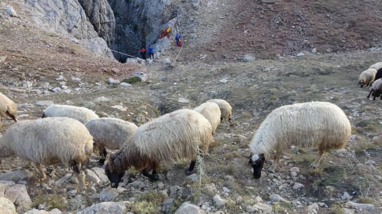 <p><strong>Türkiye'den mağaracılık federasyonunun arama kurtarma ekipleri var. Onunla birlikte Hırvatistan, İtalya, Bulgaristan, Macaristan ve Slovenya gibi ülkelerin ekipleri de burada çalışmaya destek veriyorlar</strong>’’</p>
