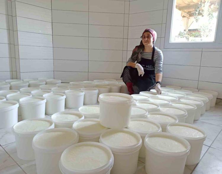 <p><strong>Türkoğlu ilçesi Yeşilyöre Mahallesi'nde yaşayan Rukiye Kök (30), kurduğu işletmede yoğurt, süt, tereyağı, kaymak ve peynir gibi ürünler yaparak geniş bir pazar alanı oluşturmak istiyor. Annesinin tek keçisi ile bu işe girdiklerini söyleyen Kök, "Şimdi ise hem işletmelerimizi kurduk, hem de markalarımızı oluşturduk" dedi.</strong></p>

<p> </p>
