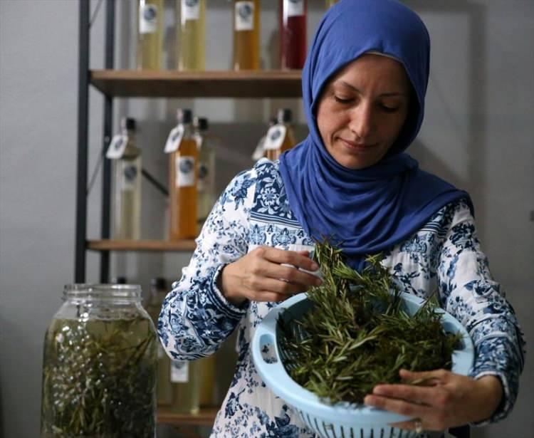 <p>Markasını oluşturarak sosyal medya hesabı üzerinden satışını yapan Sezer, AA muhabirine, evinin yanındaki küçük bahçeden topladığı elmalarla işe başladığını anlattı.</p>
<p> </p>