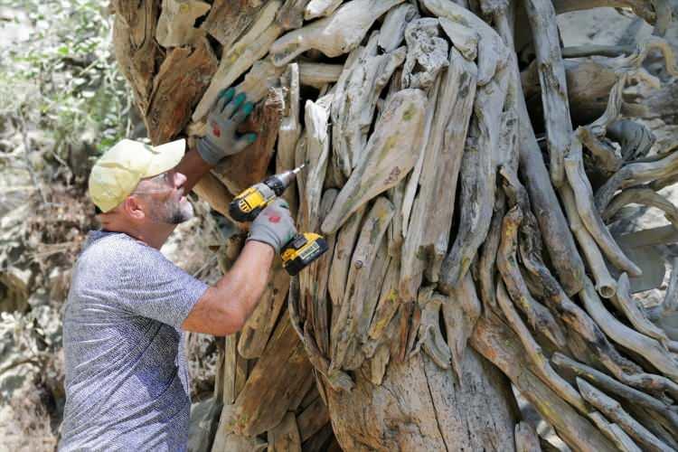 <p>Rus heykeltıraş Mikhail Tchernega, çevrenin ve yaban hayatın önemini anlatmak için Antalya'nın Kemer ilçesinde bulunan Göynük Kanyonu'ndaki dereden topladığı ağaç dallarıyla sanat eseri yapıyor.</p>