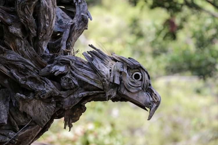 <p>El arabasına yüklediği dalları atölyesine taşıyan Tchernega, kurumuş parçaları birleştirerek esere dönüştürüyor.</p>
