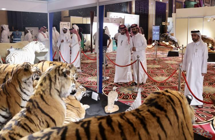<p>Katar'da Uluslararası Şahin ve Avcılık Fuarı<br />
Katar'ın başkent Doha'daki Katara Kültürel Köyü'nde Uluslararası Şahin ve Avcılık Fuarı (<strong>S'hail</strong>) düzenlendi. </p>