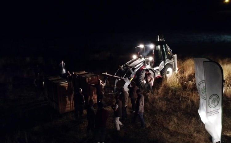<p>Gece yarısı saat 3 civarında Burdur’a ulaşan geyikler, DKMP 2. ve 6. Bölge Müdürlüğü ekiplerince Burdur Yeşilova ilçesi Salda köyü Eşeler Dağı mevkiinde doğaya sağlıklı bir şekilde salındı.</p>