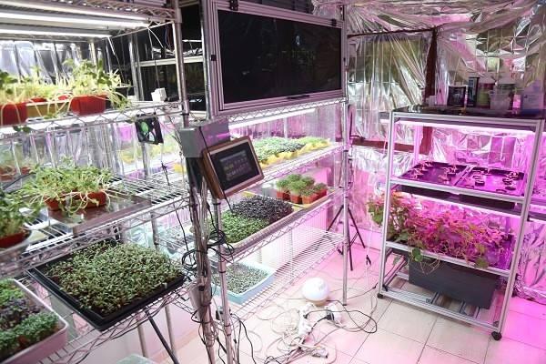 <p>Temiz, ekolojik ve sağlıklı bitkiler &uuml;retmeyi hedefleyen Tokuri, İstanbul Kadık&ouml;y&rsquo;deki apartman dairesini ışıklar, soğutucular ve yalıtım malzemeleriyle izole edilmiş dikey tarım alanına d&ouml;n&uuml;şt&uuml;rd&uuml;.</p>

<p>&nbsp;</p>
