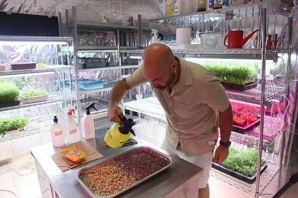 <p>&Uuml;rettiği mikro yeşillikleri şeflere ve sağlıklı beslenmek isteyenlere ulaştıran, evlerde basit bir bakımla &ccedil;imlendirilebilecek kitleri de satışa sunan Tokuri, mikro yeşilliklerin yetişmiş bitkilerle farklarını ve kullanım alanlarını anlattı.</p>

<p>&nbsp;</p>
