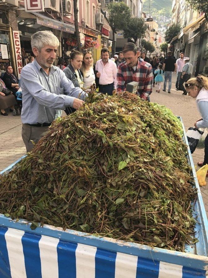<p>Melocan otu ayrıca solunum yolu enfeksiyonlarında da kullanılabilir. Nezle, grip ve öksürük gibi rahatsızlıkları hafifletmeye yardım eder.</p>
<p> </p>