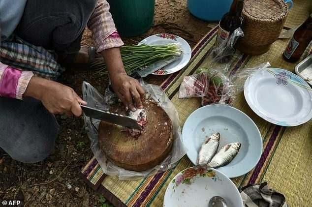 <p>Tayland'da tüketilen yerel bir yemek ise açıklandığı kadarıyla dünya üzerindeki en tehlikeli gıdalardan biri. Tek bir lokmasını tüketmenin bile karaciğer kanserine neden olabileceği açıklandı.</p>

<p> </p>
