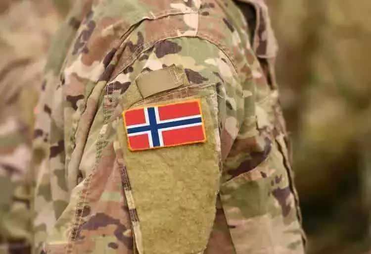 <p><strong>13. Norveç</strong></p>
<p>Toplam nüfus: 5,372,191</p>
<p>Mevcut insan gücü: 2,170,365</p>
<p>Toplam askeri personel: 64,000</p>
<p>Aktif personel: 24,000</p>
<p>Toplam hava gücü: 183</p>
<p>Savaş tankları: 36</p>
<p>Zırhlı Savaş Aracı: 777</p>
<p>Toplam deniz varlıkları: 62</p>
<p>Savunma bütçesi: 7 milyar dolar<strong>12. Hollanda</strong></p>
<p>Toplam nüfus: 17,151,228</p>
<p>Mevcut insan gücü: 7,820,960</p>
<p>Toplam askeri personel: 40,500</p>
<p>Aktif personel: 35,500</p>
<p>Toplam hava gücü: 161</p>
<p>Savaş tankları: 18</p>
<p>Zırhlı Savaş Aracı: 1,014</p>
<p>Toplam deniz varlıkları: 56</p>
<p>Savunma bütçesi: 9,8 milyar dolar</p>