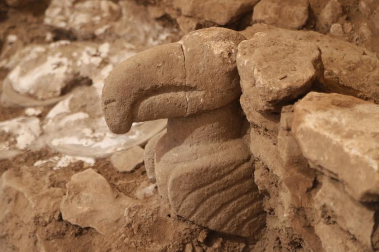 <p>Kültür ve Turizm Bakanlığının yürüttüğü kazı çalışmalarıyla Göbeklitepe’nin D yapısında kireçtaşından yapılmış ve gerçek boyutlu olan bir yaban domuzu heykeli bulundu. </p> 