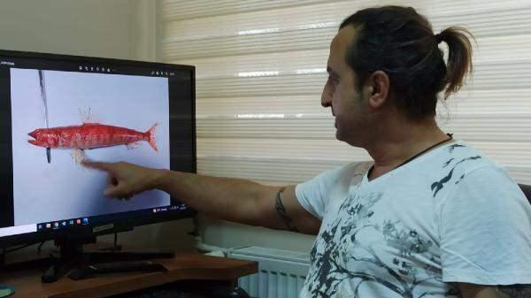 <p>Açılışı 1800’lerin sonunda olan Süveyş Kanalı'ndan Akdeniz’e geçen tropik türler, burada popülasyon kurarak, özellikle Doğu Akdeniz’in ekosistemini derinden değiştirdi. Bu değişimle Akdeniz, tropik bir deniz karakteri kazanmaya başladı. Küresel ısınma ve Süveyş Kanalı'nın derinleşmesi sonucu Kızıldeniz'den Akdeniz'e gelen istilacı balık türleri de keşfedilmeye başlandı.</p>