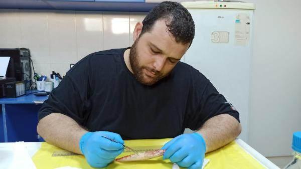<p>Denizcilik Meslek Yüksek Okulu Sualtı Programı Dr. Öğr. Üyesi Servet Ahmet Doğdu da labarotuvarda Kızıldeniz’den gelen 'Synodus Randalli' balık türünün genetik incelemelerini yapmak için kas örneklerini aldıklarını, yapılarını morfolojik olarak da öğrenmek için çalışma yaptıklarını açıkladı. (DHA)</p>
<p> </p>